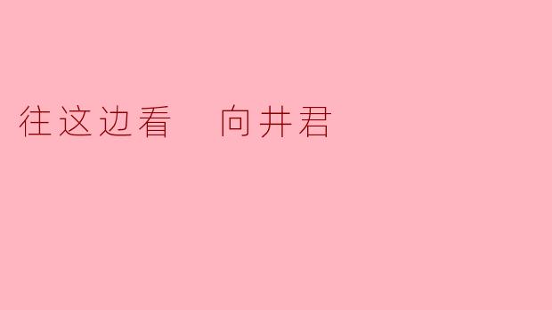 往这边看，向井君，你在忙什么呢？